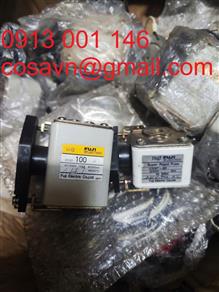 Fuji Electric Cầu chì siêu tốc Fuji Electric CS10F-100 và Fuji Electric CS5F-40 CS10F-100 và CS5F-40