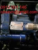 Bơm piston thủy lực Yeoshe 1F-15A