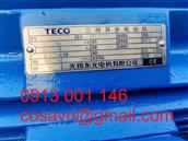 Động cơ cảm ứng ba pha TECO AEUVYY
