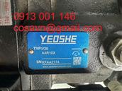 YEOSHE  Bơm piston hướng trục dịch chuyển thay đổi dòng V V25 A4R10X V25 A4R10X
