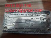 Động cơ cảm ứng 3 pha Toshiba