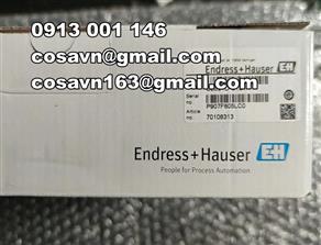 Endress + Hauser Cảm biến ENDRESS + HAUSER CLS21D-C1E1