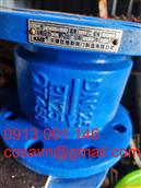 Công ty TNHH Sản xuất Van KVS Thiên Tân Van một chiều giảm tiếng ồn HC41X HC41X-250