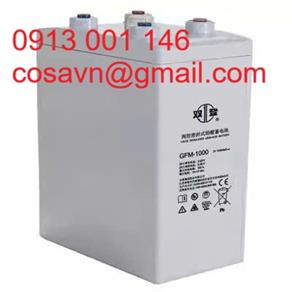 Tập đoàn Shuangdeng Co., Ltd. (còn được biết đến với tên Shoto) Ắc quy chì-axit điều chỉnh bằng van (VRLA) Shuangdeng GFM-1000 GFM-1000