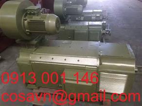 Động cơ điện DC công nghiệp