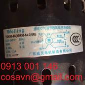 Công ty TNHH Sản xuất Động cơ Quảng Đông Welling Động cơ không đồng bộ một pha Welling YDK90-6G YDK90-6G (YDK90-6A-3(GN))
