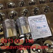 Công ty TNHH Điện tử Anhui Tongfeng Tụ điện chạy động cơ CBB65 CBB65