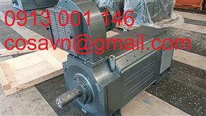 Động cơ điện một chiều (DC) công nghiệp tải nặng