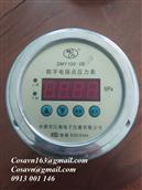 Yuyao Jiangnan Electronic Instrument Co., Ltd. Đồng hồ đo áp suất tiếp xúc điện kỹ thuật số DMY 100-2B DMY 100-2B